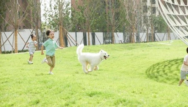 云开体育“那是谁的狗晚上乱叫-开云平台网站皇马赞助商| 开云平台官方ac米兰赞助商 最新官网入口 云开体育“那是谁的狗晚上乱叫-开云平台网站皇马赞助商| 开云平台官方ac米兰赞助商 最新官网入口