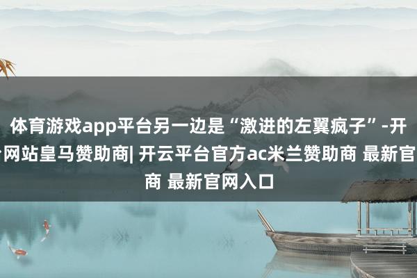 体育游戏app平台另一边是“激进的左翼疯子”-开云平台网站皇马赞助商| 开云平台官方ac米兰赞助商 最新官网入口