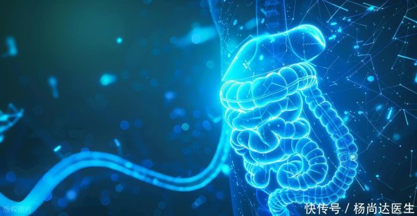 开yun体育网尤其在肠说念蠕动已趋于逐渐的老年群体中-开云平台网站皇马赞助商| 开云平台官方ac米兰赞助商 最新官网入口 开yun体育网尤其在肠说念蠕动已趋于逐渐的老年群体中-开云平台网站皇马赞助商| 开云平台官方ac米兰赞助商 最新官网入口