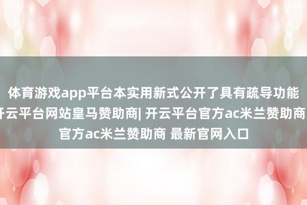 体育游戏app平台本实用新式公开了具有疏导功能的制氢援救-开云平台网站皇马赞助商| 开云平台官方ac米兰赞助商 最新官网入口